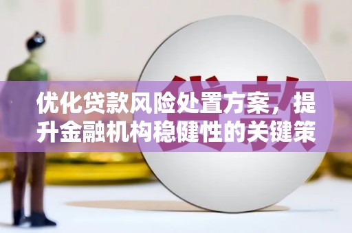 木兰优化贷款风险处置方案，提升金融机构稳健性的关键策略