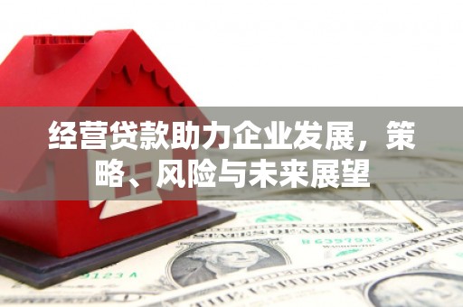 木兰经营贷款助力企业发展，策略、风险与未来展望