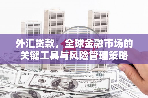 木兰外汇贷款，全球金融市场的关键工具与风险管理策略