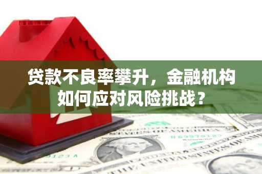 木兰贷款不良率攀升，金融机构如何应对风险挑战？