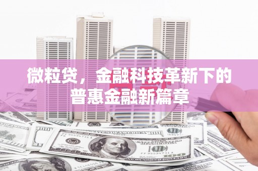 木兰微粒贷，金融科技革新下的普惠金融新篇章