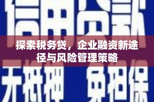 木兰探索税务贷，企业融资新途径与风险管理策略