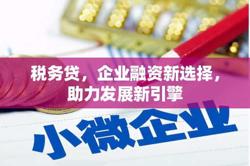 木兰税务贷，企业融资新选择，助力发展新引擎