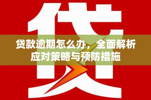 木兰贷款逾期怎么办，全面解析应对策略与预防措施