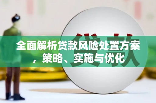 木兰全面解析贷款风险处置方案，策略、实施与优化