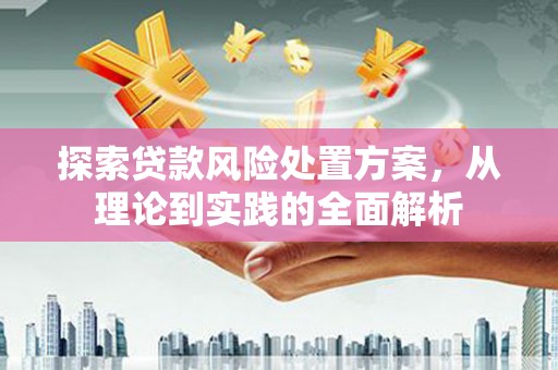 木兰探索贷款风险处置方案，从理论到实践的全面解析