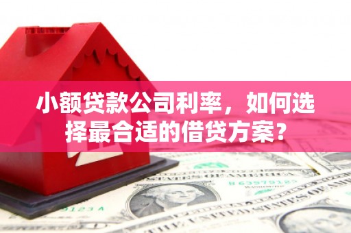 木兰小额贷款公司利率，如何选择最合适的借贷方案？