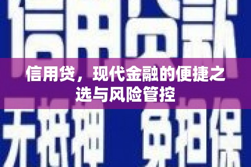 木兰信用贷，现代金融的便捷之选与风险管控