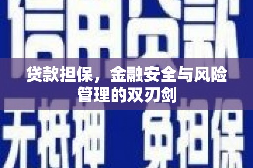 木兰贷款担保，金融安全与风险管理的双刃剑
