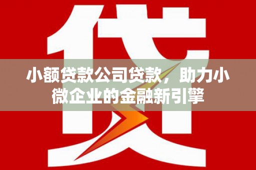 木兰小额贷款公司贷款，助力小微企业的金融新引擎