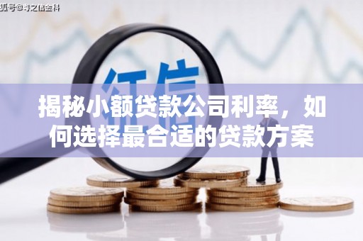木兰揭秘小额贷款公司利率，如何选择最合适的贷款方案