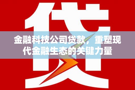 木兰金融科技公司贷款，重塑现代金融生态的关键力量