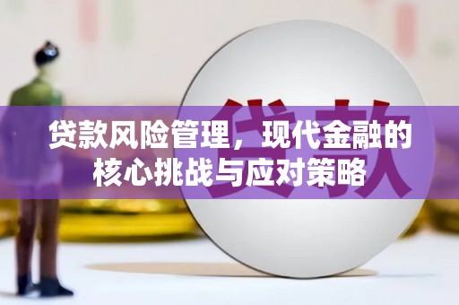 木兰贷款风险管理，现代金融的核心挑战与应对策略
