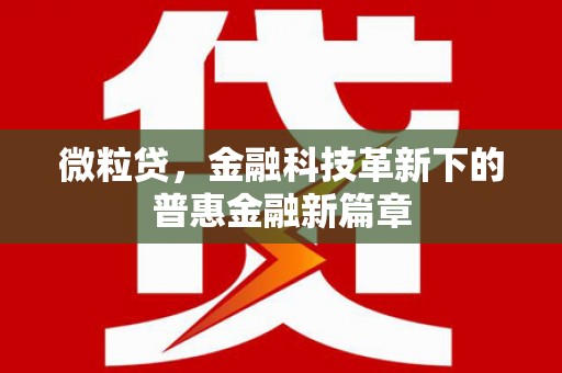 木兰微粒贷，金融科技革新下的普惠金融新篇章