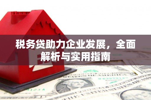 木兰税务贷助力企业发展，全面解析与实用指南