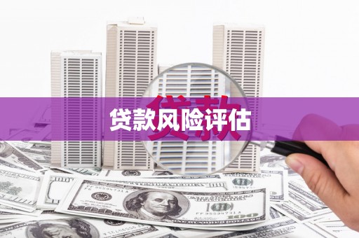 木兰贷款风险评估