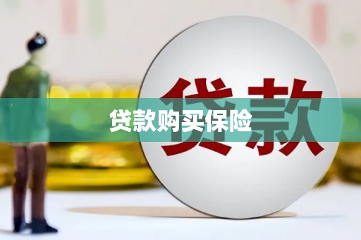 木兰贷款购买保险