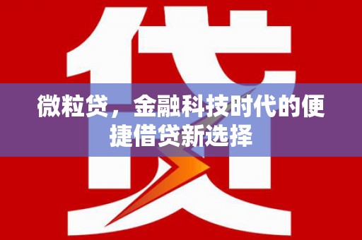 木兰微粒贷，金融科技时代的便捷借贷新选择