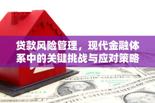 木兰贷款风险管理，现代金融体系中的关键挑战与应对策略