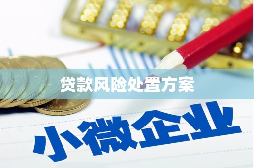木兰贷款风险处置方案