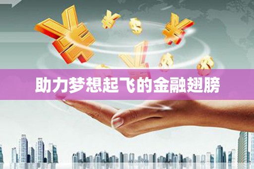 木兰助力梦想起飞的金融翅膀