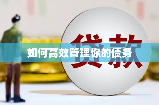木兰如何高效管理你的债务