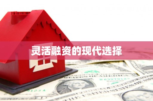 木兰灵活融资的现代选择