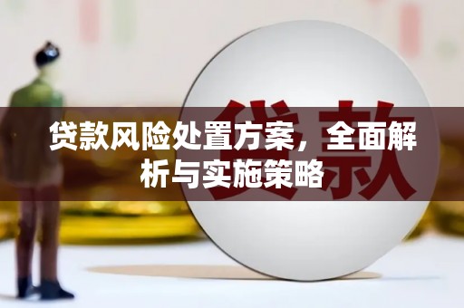 木兰贷款风险处置方案，全面解析与实施策略
