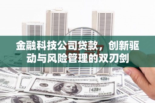 木兰金融科技公司贷款，创新驱动与风险管理的双刃剑